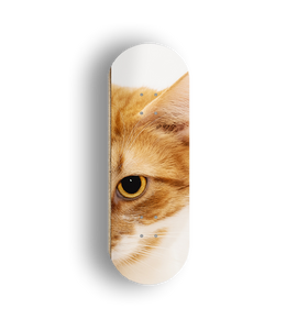 Professional Fingerboard Deck - Cat