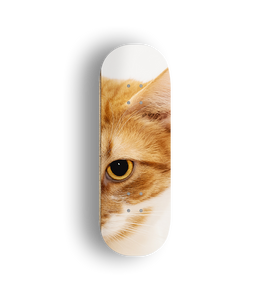 Professional Fingerboard Deck - Cat