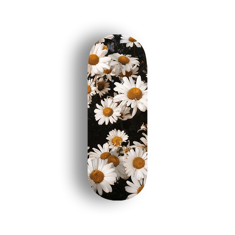 Professional Fingerboard Deck - Daisy