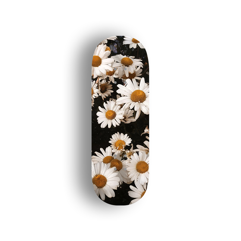 Professional Fingerboard Deck - Daisy